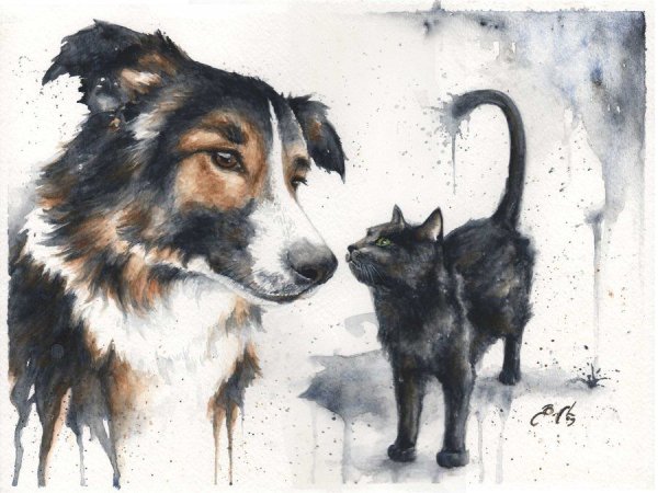 Кошки в искусстве. Braden Duncan.