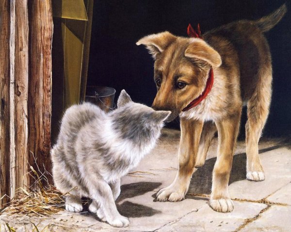 Художник Shirley Deaville