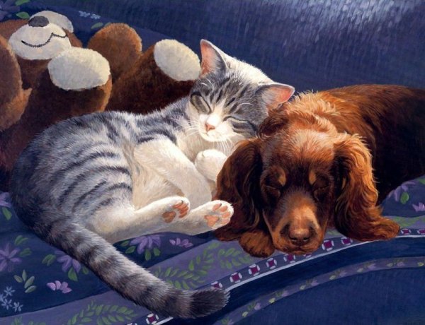 Кошки и собаки в живописи