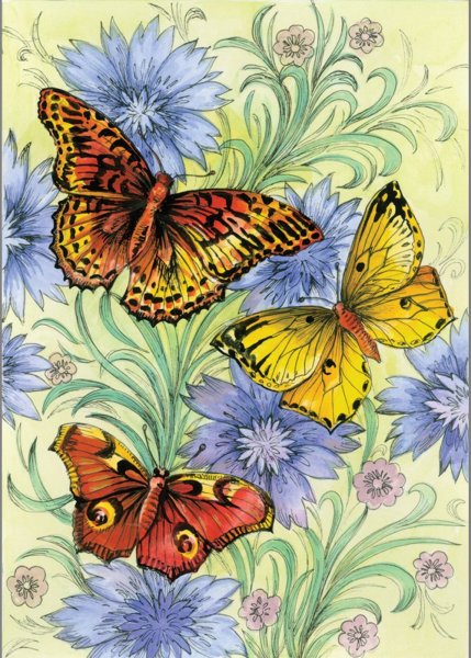 Бабочка на цветке цветная