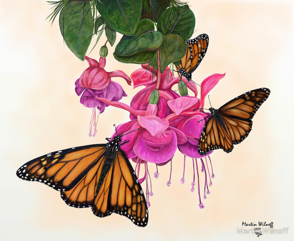 Бабочки на цветах рисунки