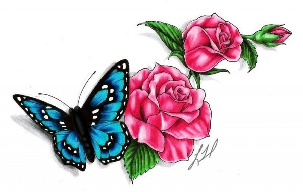 Бабочка на цветке