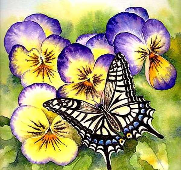 Анютины глазки и бабочки