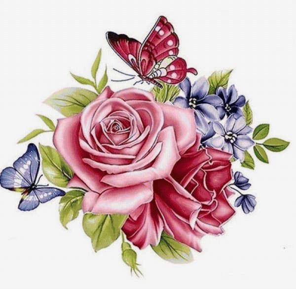 Красивые рисунки цветов