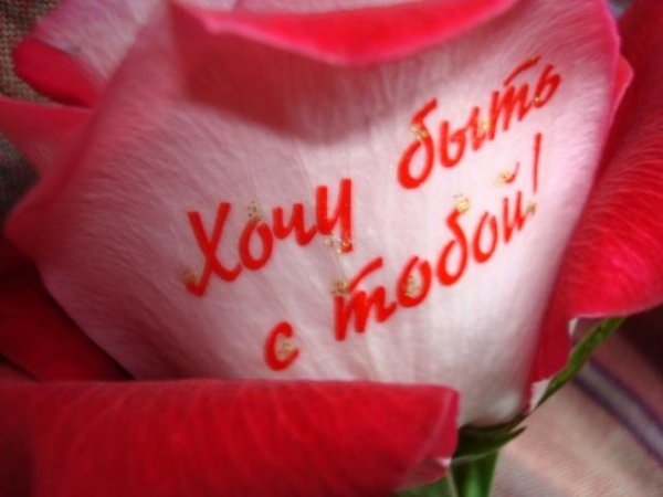 Открытки цветы для любимой