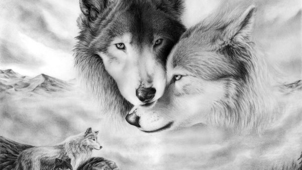 Красивые рисунки