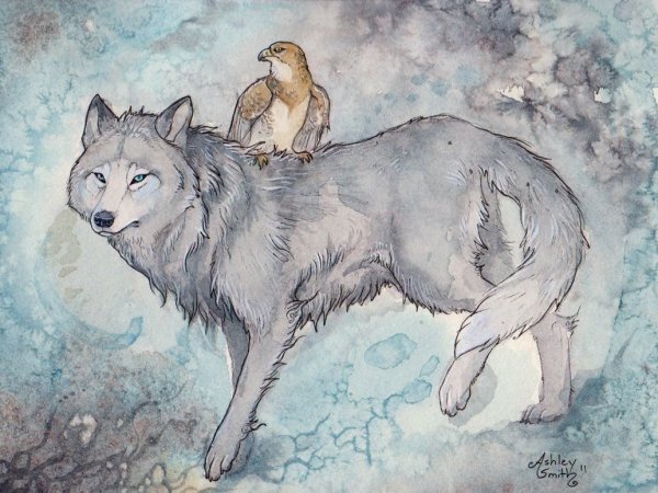 Луна и пара Волков