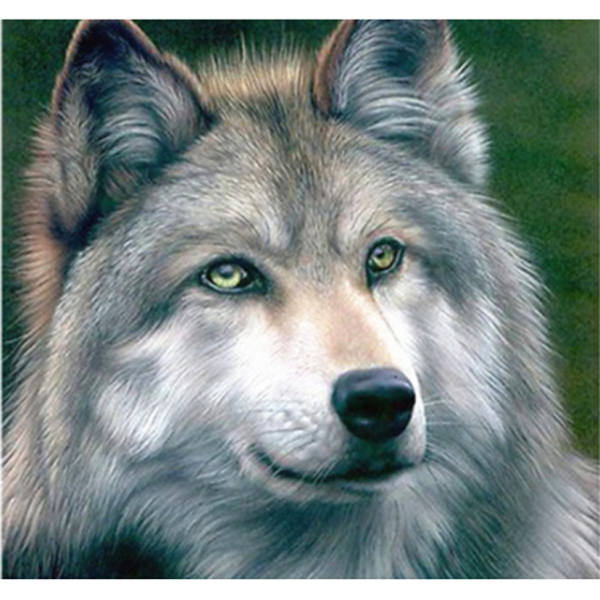 Кентаро Нишино семья Волков