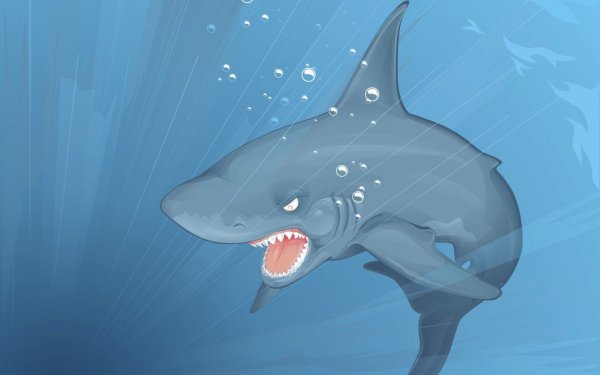 Акула на рабочий стол