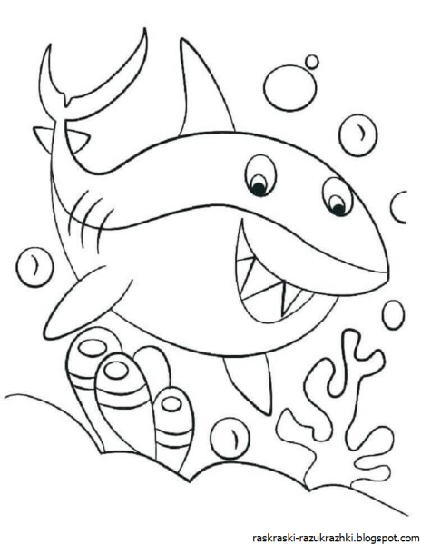Акула раскраска для детей