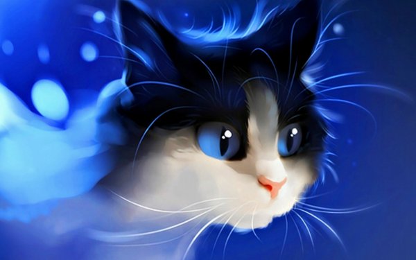 Котенок карандашом