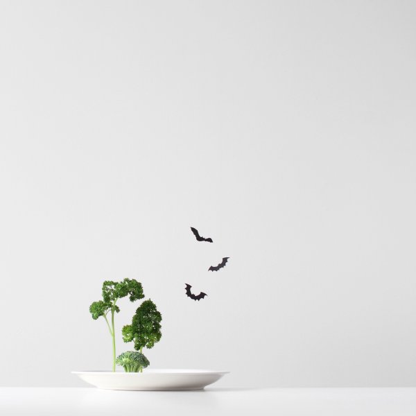 Картинки Минимализм