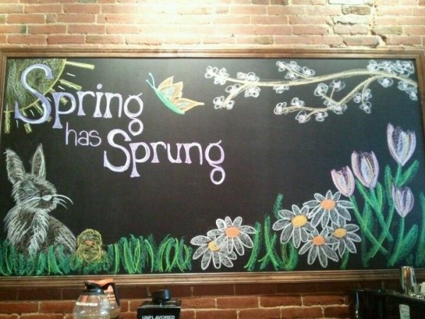 Елка на грифельной стене