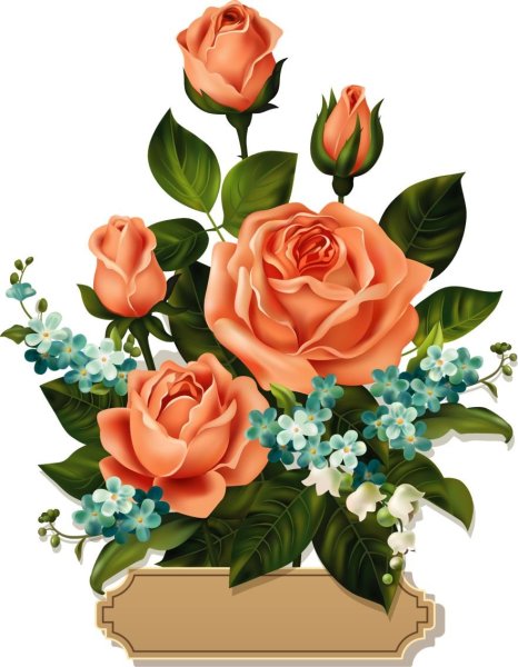 Красивые нарисованные цветы