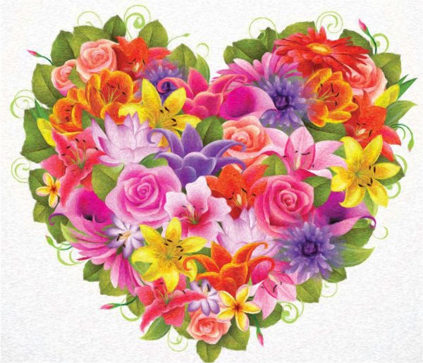 Цветы на открытку цветные