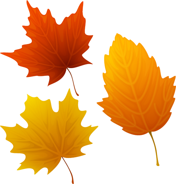 Сенная листья