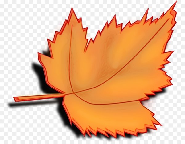 Кленовый лист оранжевый