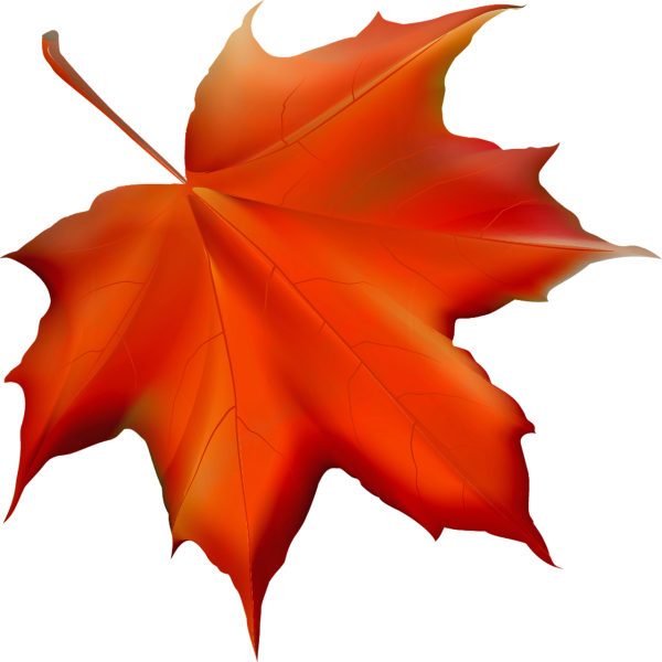 Осенние листья