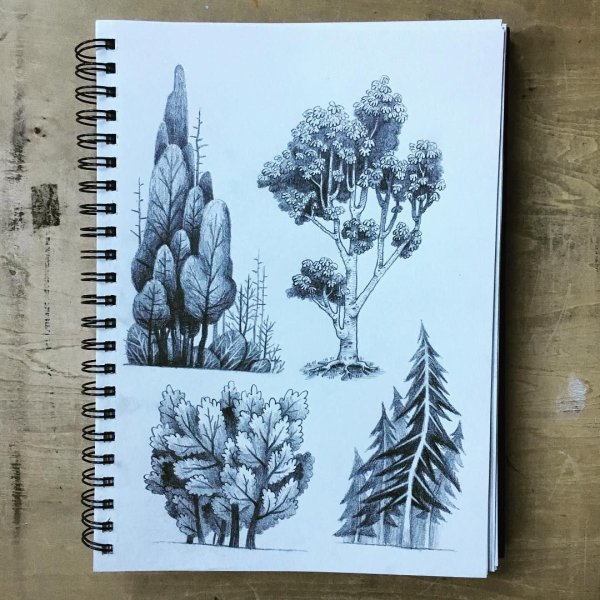 Дерево для скетчбука