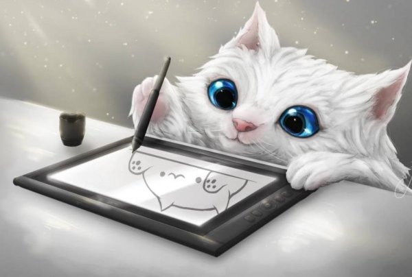 Рисунок кота на графическом планшете