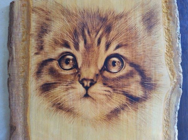 Красивые рисунки для выжигания