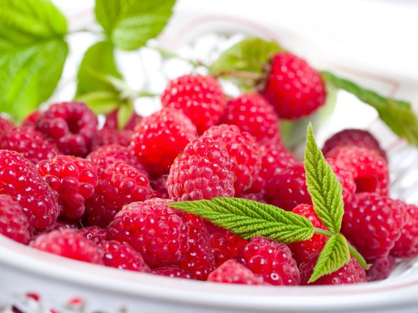 Картина черри блоссом гора