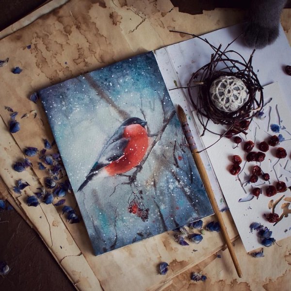 Акварель для инстаграмма