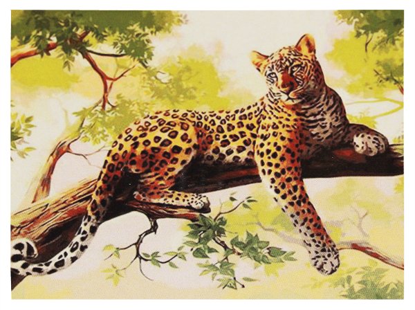 Гранни набор алмазной вышивки хозяин прерий (ag558) 70x48 см