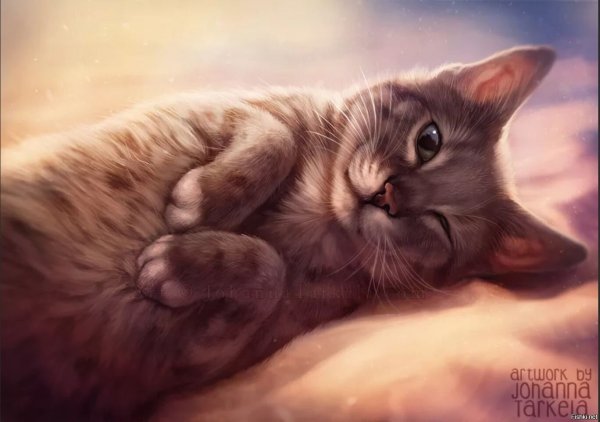 Волшебная птица