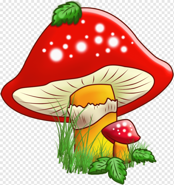 Мухомор для детей