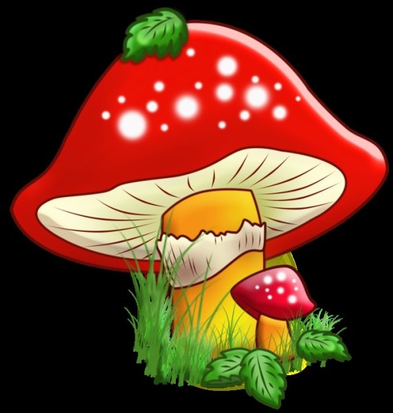 «Грибы для белки» (Комарова, с.36)