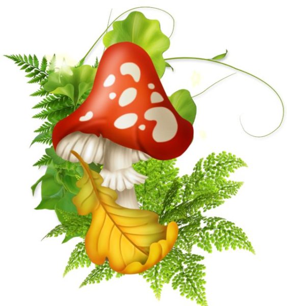 Сказочные грибочки