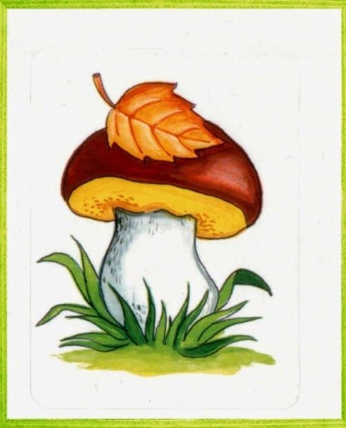 Грибы для детского сада