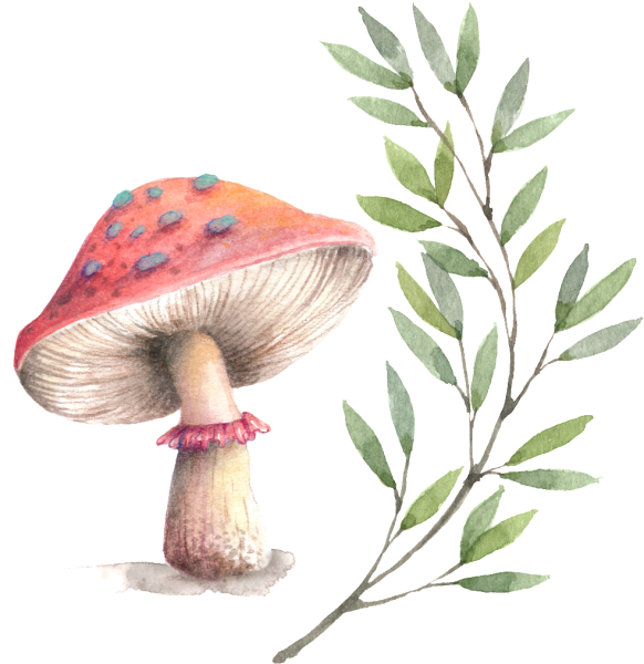 Мухомор цветными карандашами