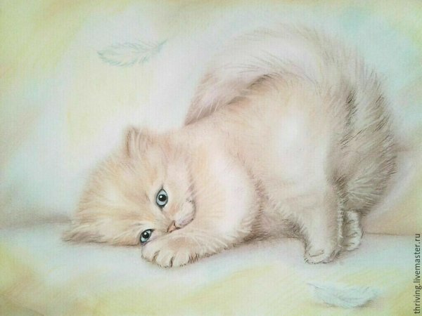 Котенок сухой пастелью