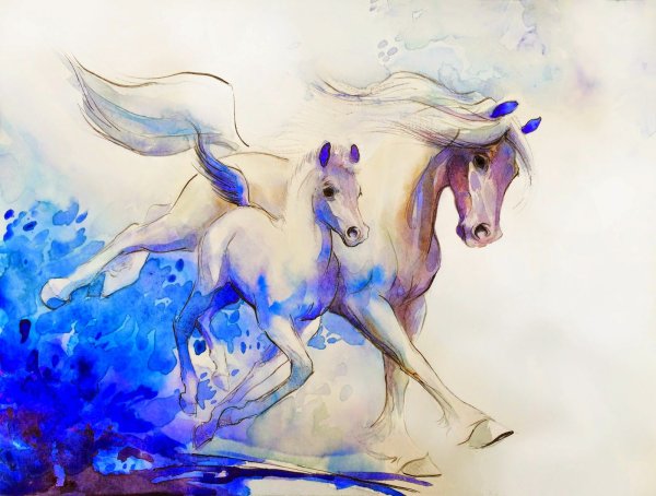 Голова лошади живопись