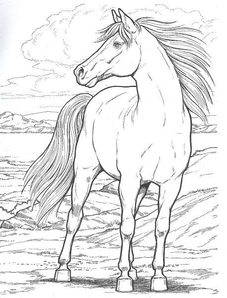 Рисунки пегасов карандашом