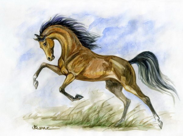 Лошадь для срисовки
