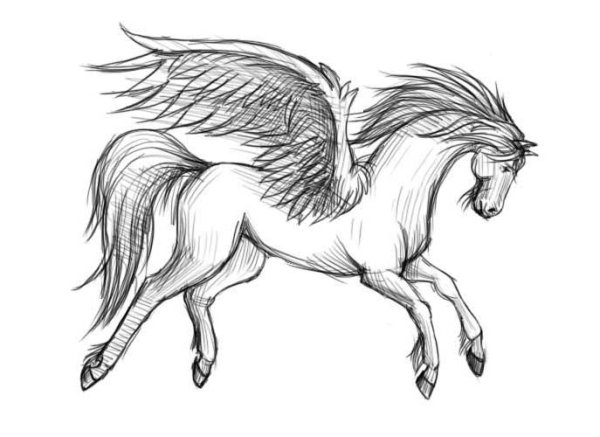 Лошадь рисунок