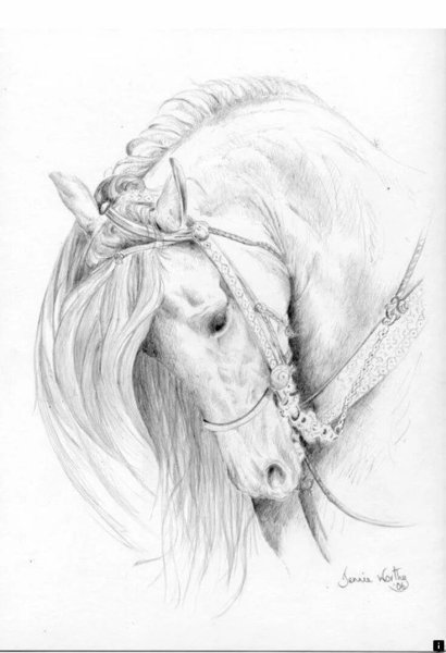 Лошадь рисунок