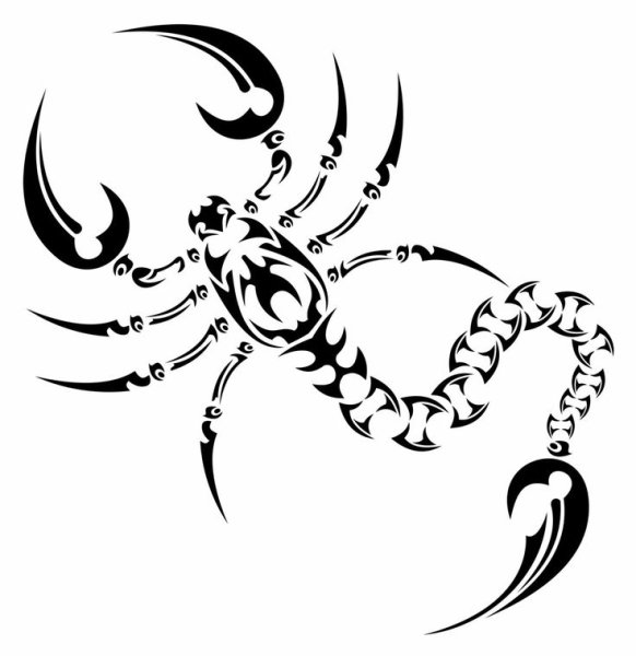 Скорпион трафарет