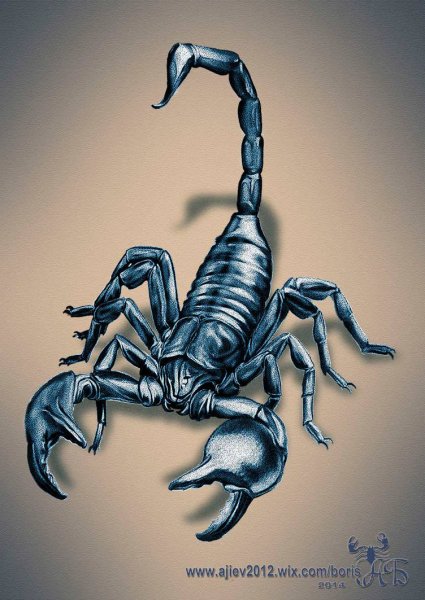 Скорпион гравировка