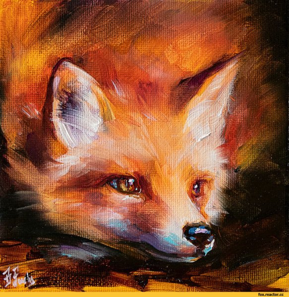 Красивая лиса арт