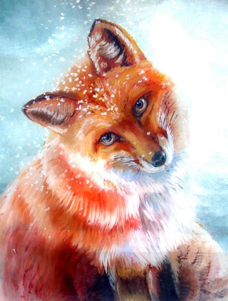 Лисы акварелью