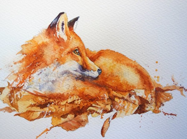 Лиса акварелью для начинающих