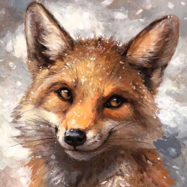 Kenket Fox