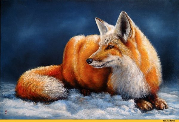 Лиса с крыльями арт