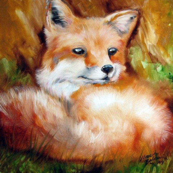 Художник Marcia Baldwin Лисичка