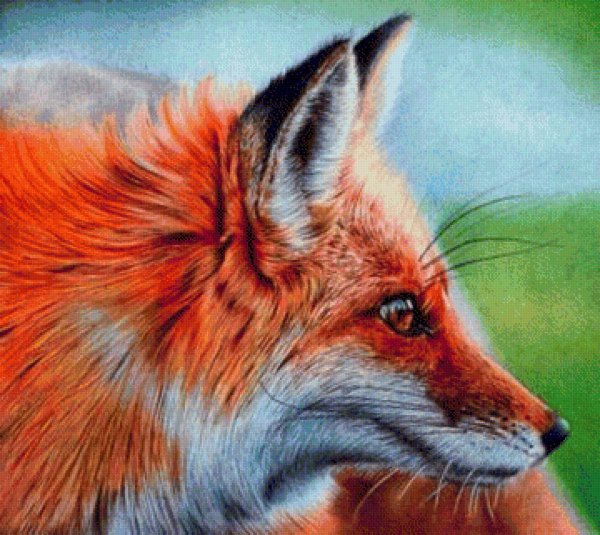 Самуэль Сильва (Samuel Silva)