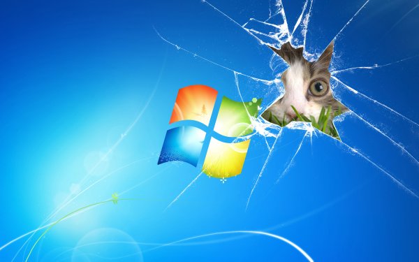 Картинки Windows
